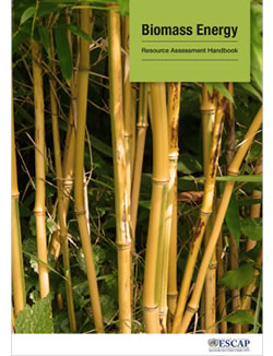 P5 Biomass Energy Handbook Cover